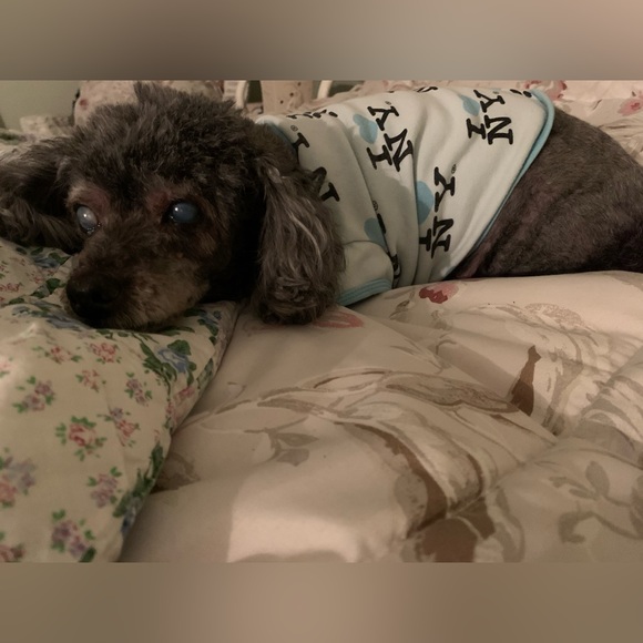 @tt1342 Giveaway Snack, Starbucks or Stickers? - Picture 10 of 15